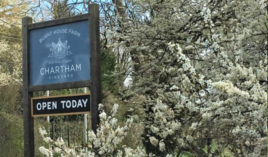 Chartham Vineyard visitor letters