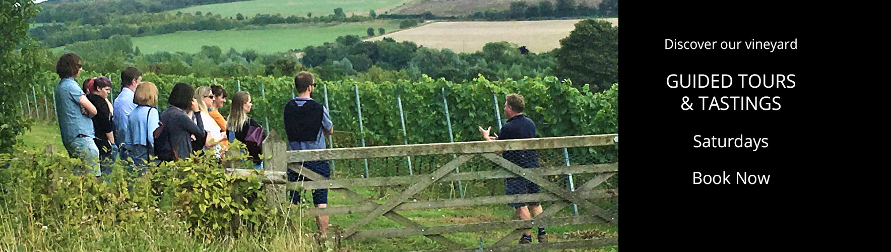 guided tours and tastings